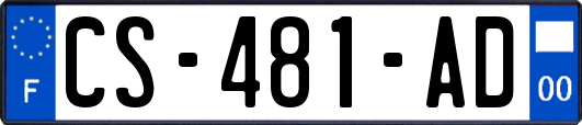 CS-481-AD