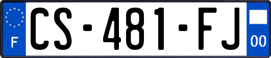 CS-481-FJ