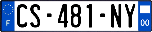 CS-481-NY
