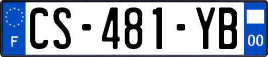 CS-481-YB