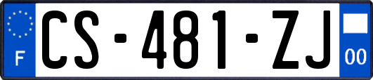 CS-481-ZJ