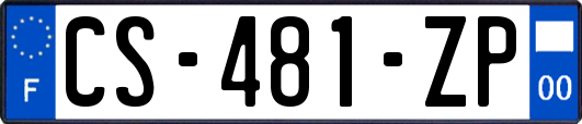 CS-481-ZP