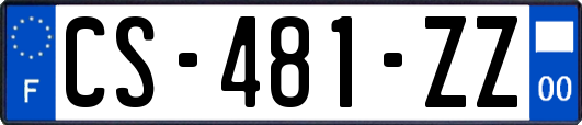 CS-481-ZZ