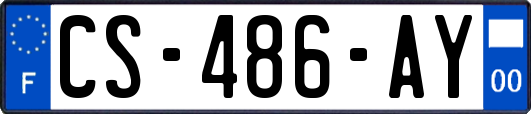 CS-486-AY