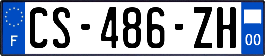 CS-486-ZH