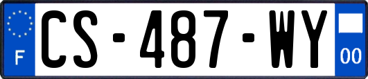 CS-487-WY