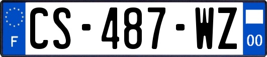 CS-487-WZ