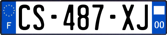 CS-487-XJ