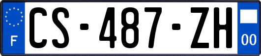 CS-487-ZH