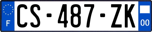 CS-487-ZK