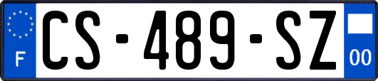 CS-489-SZ