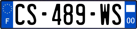 CS-489-WS