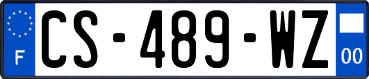 CS-489-WZ