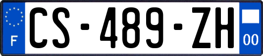 CS-489-ZH