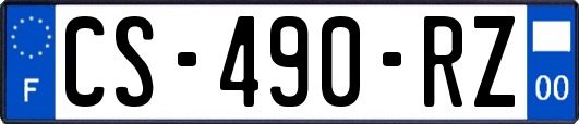 CS-490-RZ