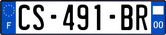 CS-491-BR