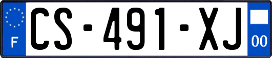 CS-491-XJ