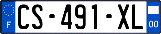 CS-491-XL