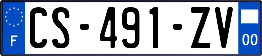 CS-491-ZV