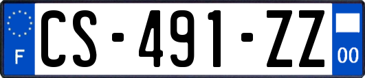 CS-491-ZZ