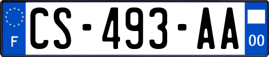 CS-493-AA