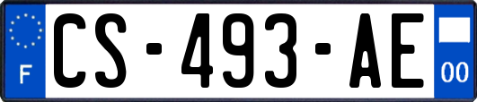 CS-493-AE