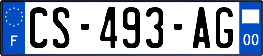 CS-493-AG