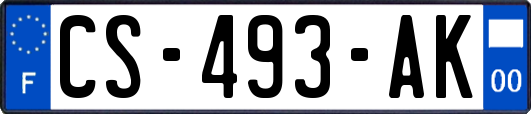 CS-493-AK