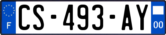 CS-493-AY