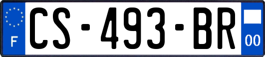 CS-493-BR