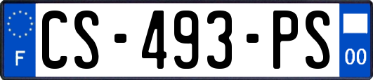 CS-493-PS