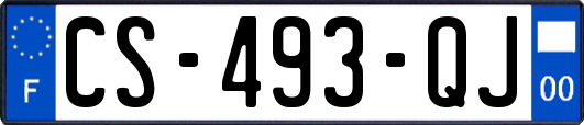 CS-493-QJ