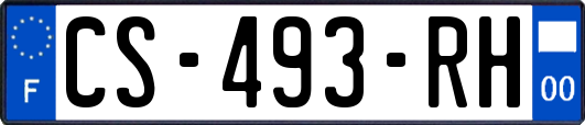 CS-493-RH