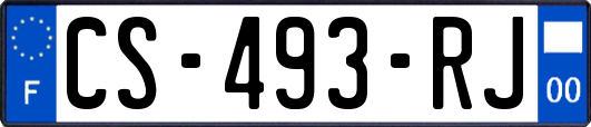 CS-493-RJ