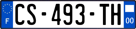 CS-493-TH