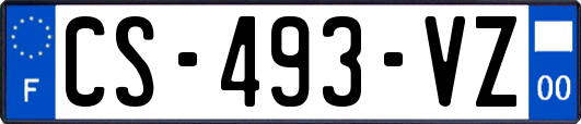 CS-493-VZ