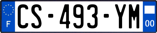 CS-493-YM