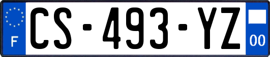 CS-493-YZ