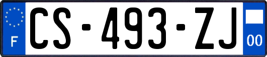 CS-493-ZJ