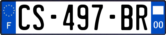 CS-497-BR