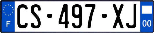 CS-497-XJ