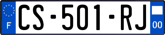 CS-501-RJ