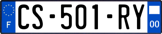 CS-501-RY