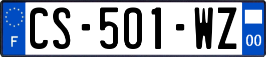 CS-501-WZ