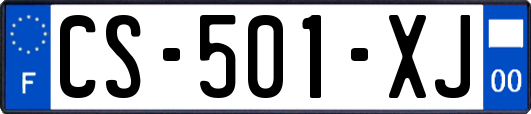 CS-501-XJ