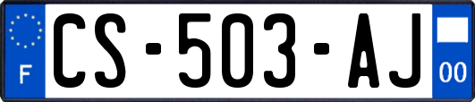 CS-503-AJ