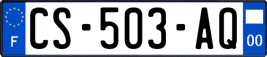 CS-503-AQ