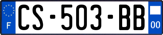 CS-503-BB