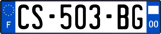 CS-503-BG