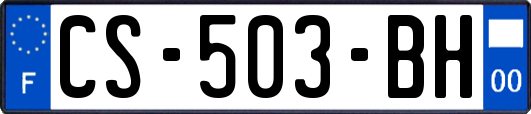 CS-503-BH